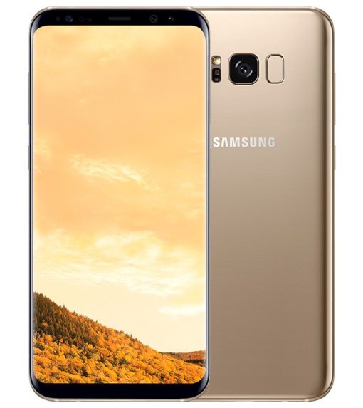 s8+ gold